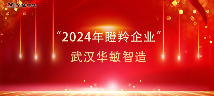 名單公布 武漢華敏智造入選